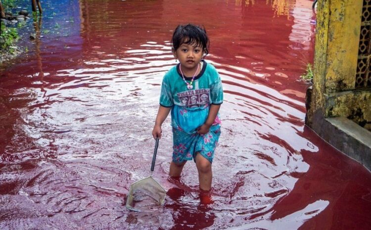  Village submerged by red water after flood hits batik factory