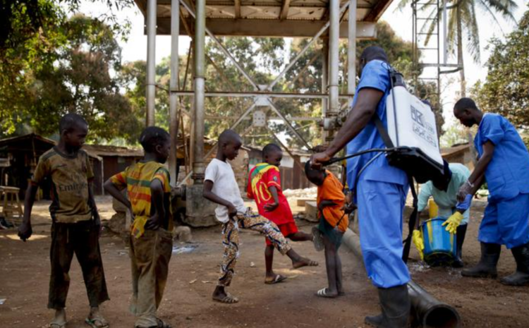 WHO: Guinea Ebola outbreak likely from human source