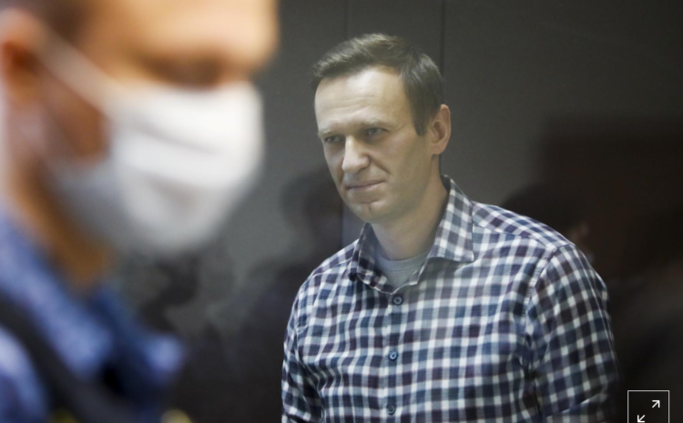 Kremlin critic Navalny moved from jail; TASS says he is now in penal colony
