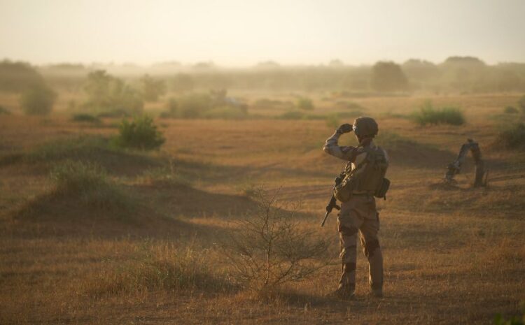  Sahel jihadists: West Africa faces up to policing its terror triangle