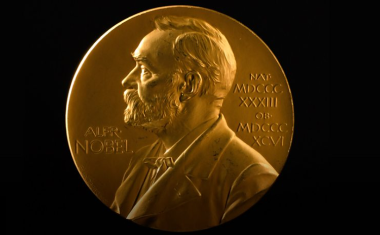 Nobel Prize: We will not have gender or ethnicity quotas – top scientist