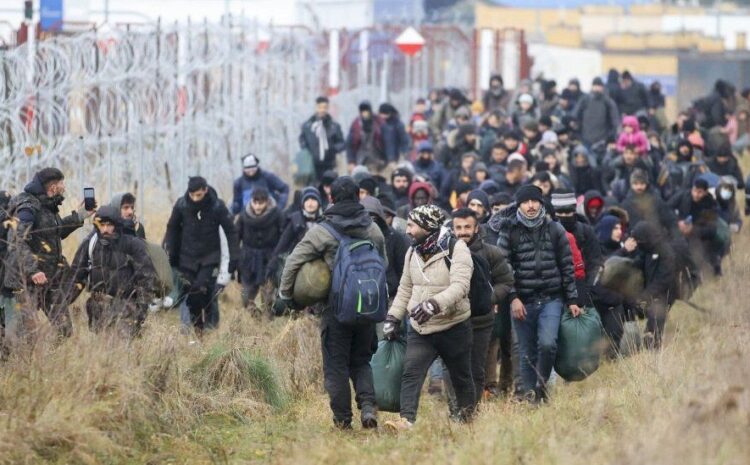 Poland border: Turkey blocks Belarus flights to ease migrant crisis