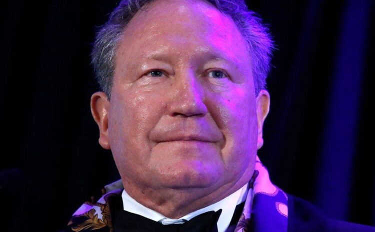  Andrew Forrest: Australian billionaire launches criminal case against Facebook