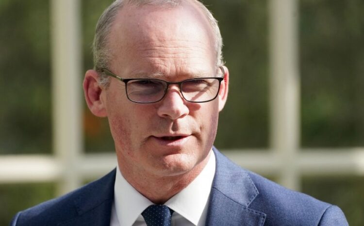 Irish Foreign Minister Simon Coveney criticises Irish border visa waiver plans