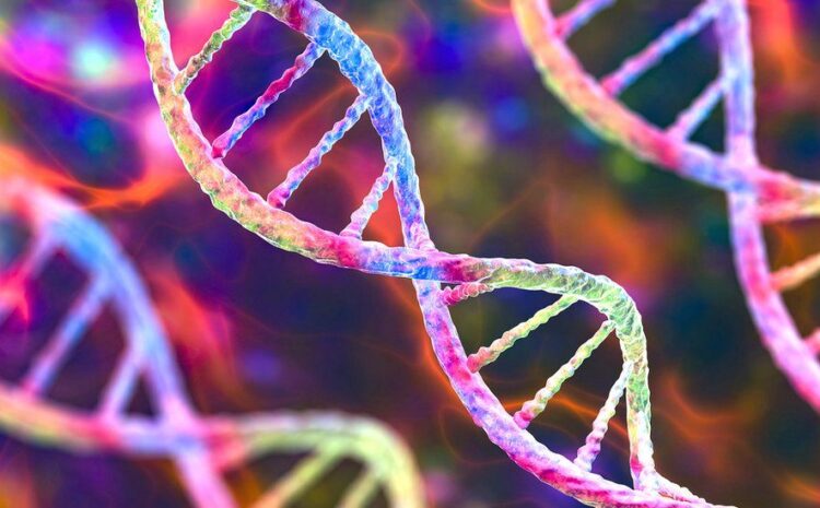  Gap-free human genome sequence completed for first time