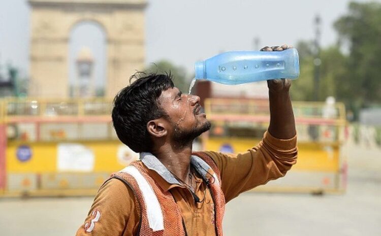 Delhi suffers at 49C as heatwave sweeps India