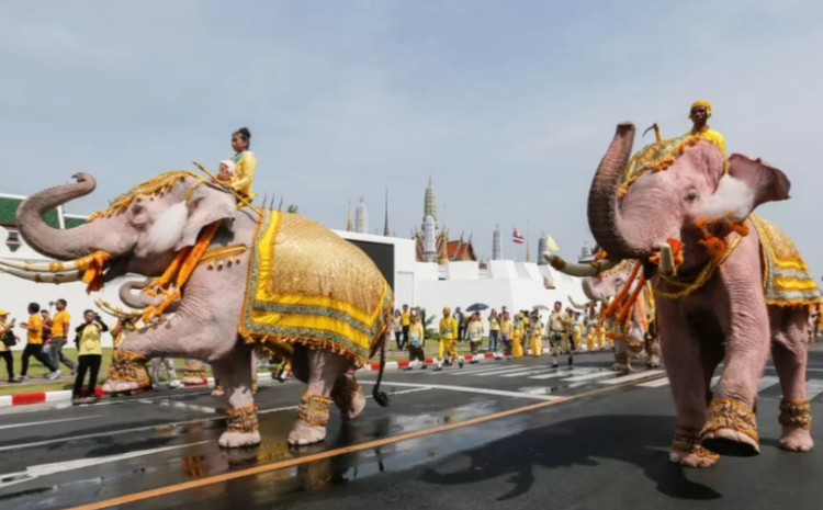 Thailand’s crawling queen and coronation rites from around the world